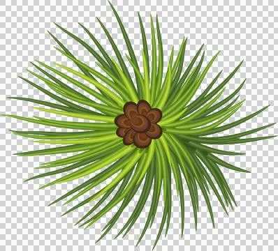 Green pine branches, close-up. Christmas decor and garlands. New Year. Holi.. 스톡 일러스트