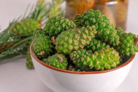 Green pine cones Stock Photos