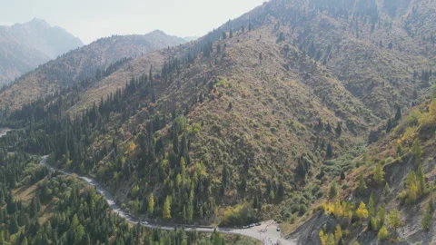 Green pine-covered valley winding through hills. Stock Footage 319015852