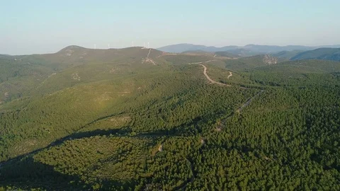 Green Pine Forest and Hills, 4K Aerial Video Stock Footage 77596441