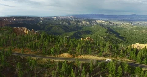 Green pine forest on the cliff of the canyon Vídeo Stock 118643270