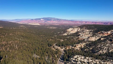 Green Pine Forest Massive With Serpentine Road And Red Beige Rocks Aerial View Stockbeeldmateriaal 120683236