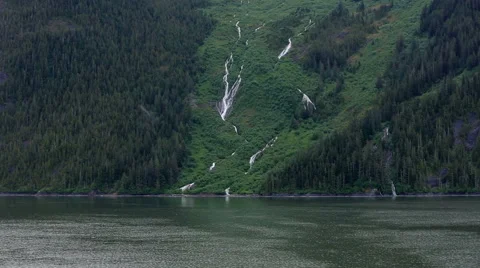 Green Pine Forest on Mountain with Waterfalls Flowing to Ocean. Stock Footage 50744308