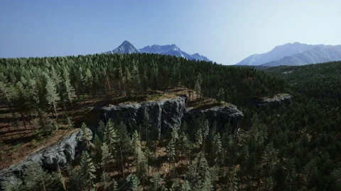 Green pine forest in the mountains Stock Footage 232916747