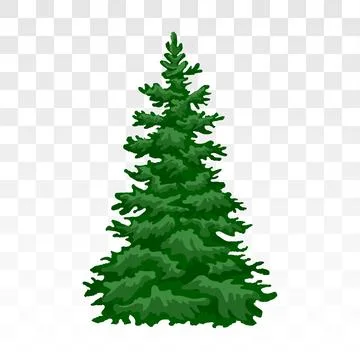 Green pine. Forest trees silhouette. Christmas tree, cedar, fir-tree, pine,.. Stock Illustration