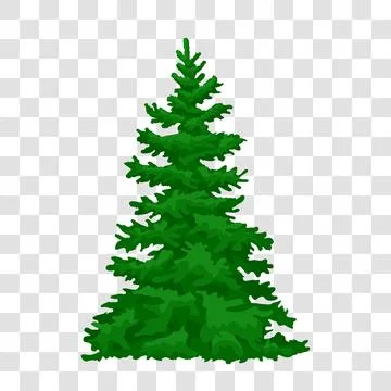 Green pine. Forest trees silhouette. Christmas tree, cedar, fir-tree, pine,.. Stock Illustration