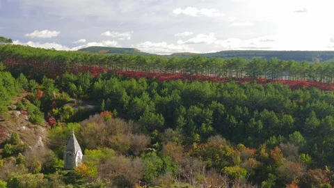  Green pine forests and red deciduous trees Video stock 81206006