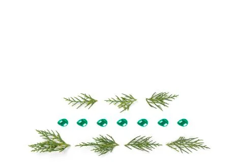 Green pine isolated on white - Space for text Stock Photos