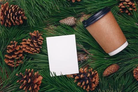 Green pine tree branches, cones background, paper cup of coffee mock up Stock Photos