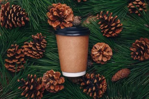 Green pine tree branches, cones background, paper cup of coffee mock up Stock Photos