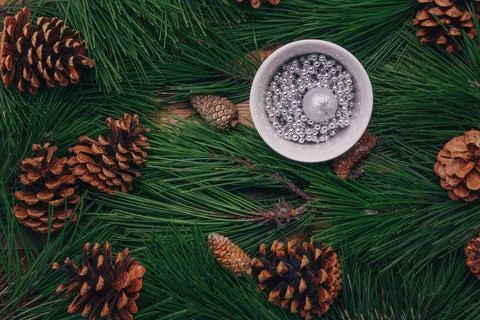 Green pine tree branches, cones background, cup of shiny silver beads Stock Photos