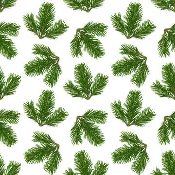 Green pine tree branches isolated on white background. Christmas winter seamless Stock Photos