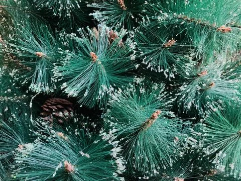 Green pine tree branches with sparkling glitter frost closeup Stock Photos