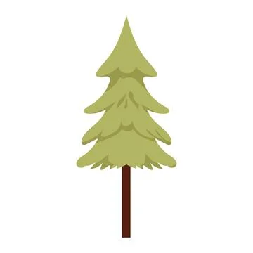 Green pine tree in flat design. Woodland spruce plant, simple fir tree. Vecto Stock Illustration