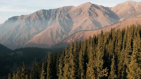 Green pine tree forest on mountain range. Beautiful Mountain Range. Nature Stock Footage 234398788