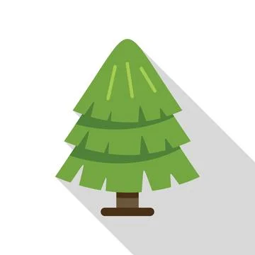 Green pine tree growing with long shadow 스톡 일러스트