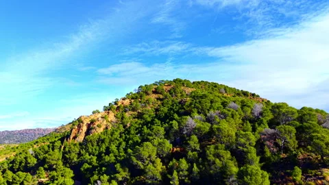 Green pine trees covered mountain peak against blue sky 스톡 동영상 334854595