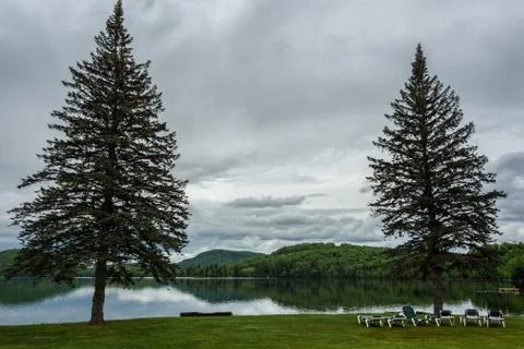 Green pine trees at lakeside under overcast sky Stock Photos