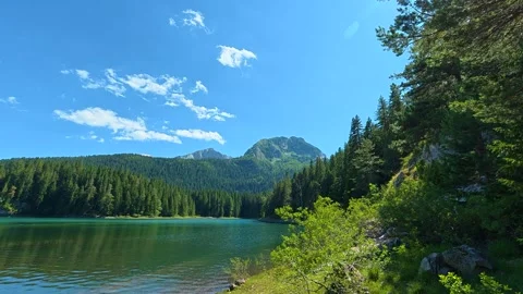 Green pine trees line the shoreline, adding texture. Black Lake, Montenegro Stock Footage 342974270