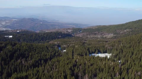 Green pine trees, rolling hills, aerial flight over the natural landscapes . Stock Footage 60416041