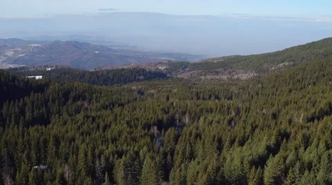Green pine trees, rolling hills, aerial flight over the natural landscapes. Stock Footage 60416149