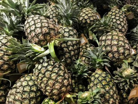 Green pineapple background Stock Photos
