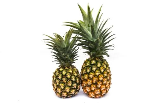 Green pineapple 스톡 사진