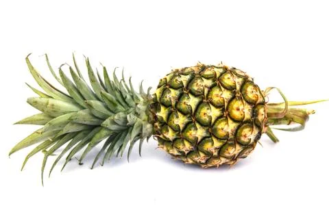 Green pineapple 스톡 사진