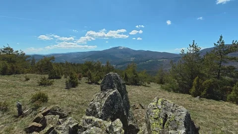 Green pines dot a sunlit, grassy hillside. Balkan, Eastern Europe, POV 스톡 동영상 333440899