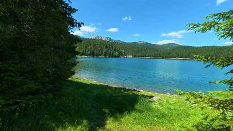 Green pines frame a tranquil lake. Black Lake, Montenegro Stockbeeldmateriaal 342971036