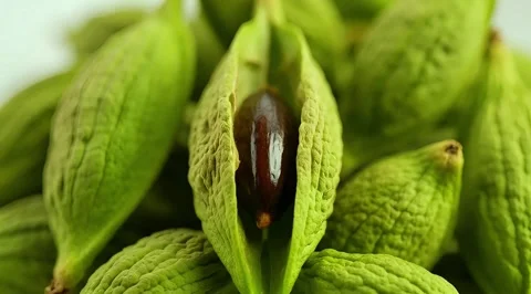 Green pistachios with one opened shell close up Video stock 331859674