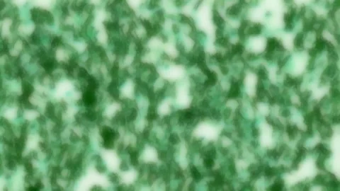 Green, pixelated, dynamic, merging shapes effect Видео 147123411