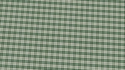 Green Plaid Fabric Texture Stock Footage 320828862