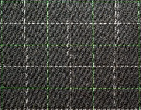 Green plaid pattern on gray fabric covering entire frame. Versatile textile b 스톡 사진