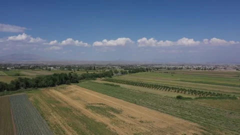 Green plain 5 Video stock 331535806
