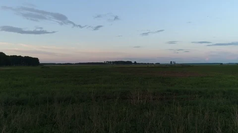 Green plains Stock Footage 91621589