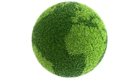 Green Planet. 3d planet earth rotating covered with plants. Vídeos de archivo 336406965
