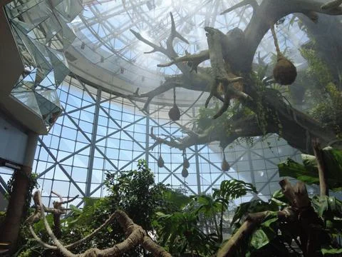 Green Planet Attraction Dubai Interior Stock Photos