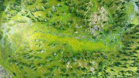 Green planet concept Stock Footage 121392970