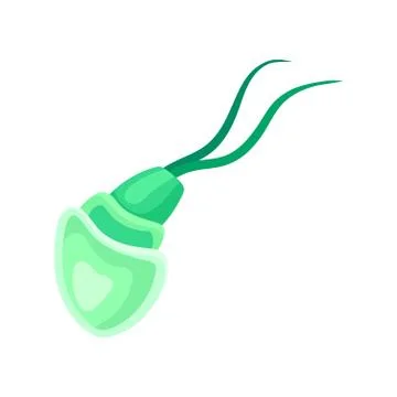 Green plankton with a translucent body. Vector illustration on white background. Stock Illustration