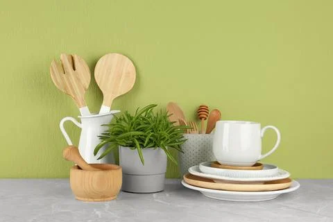 Green plant and different kitchenware on table near color wall. Modern interi Stock Photos