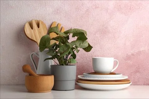 Green plant and different kitchenware on table near color wall. Modern interi Stock Photos