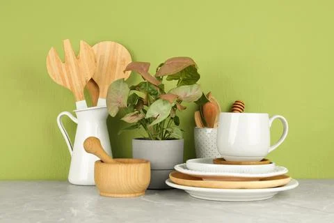 Green plant and different kitchenware on table near color wall. Modern interi Stock Photos