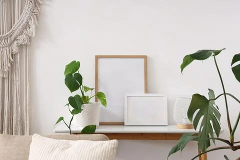 Green plant with blank frames on table in light room Stock Photos