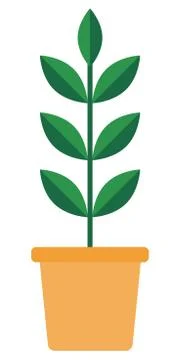 Green plant in a ceramic pot vector icon flat Stock Illustration