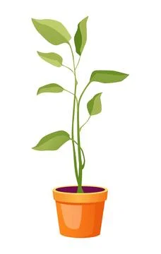 A green plant flat vector illustration with vibrant leaves growing in a bri.. Stock Illustration