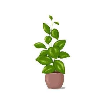 Green Plant Stock Illustration