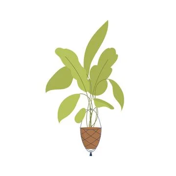 Green plant. Isolated. Flat style. Stock Illustration