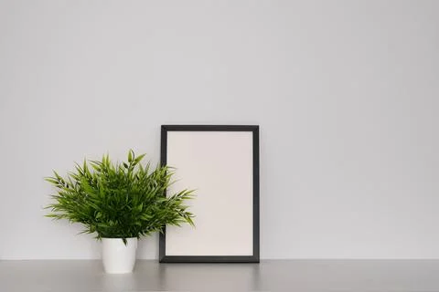 Green plant next to an empty frame on a white background. Minimalism. Stock Photos