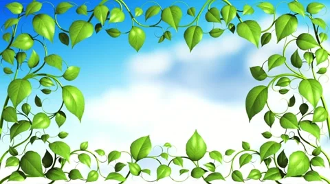 Green Plant pattern is growing in HD. Stock Footage 10828494